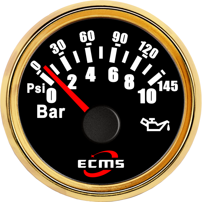 ECP/ECP2-Pressure gauge 10Bar