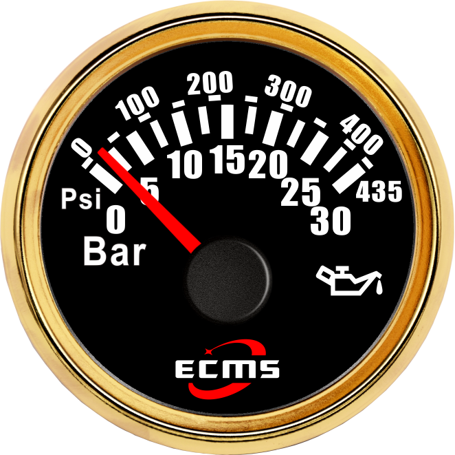 ECP/ECP2-30Bar壓力表