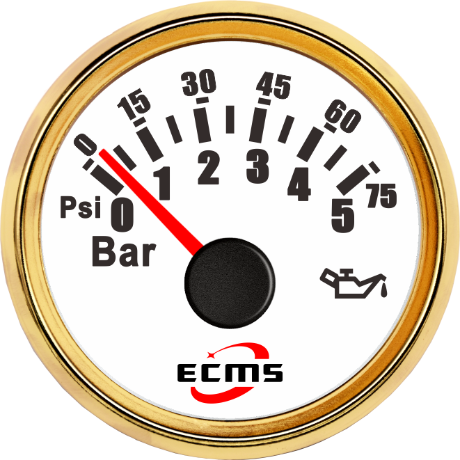 ECP/ECP2-5Bar壓力表