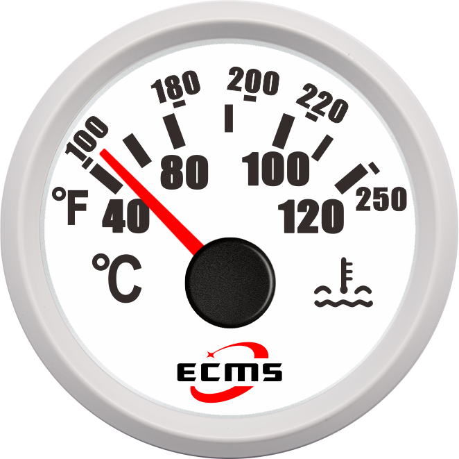 ECP/ECP2-水溫表