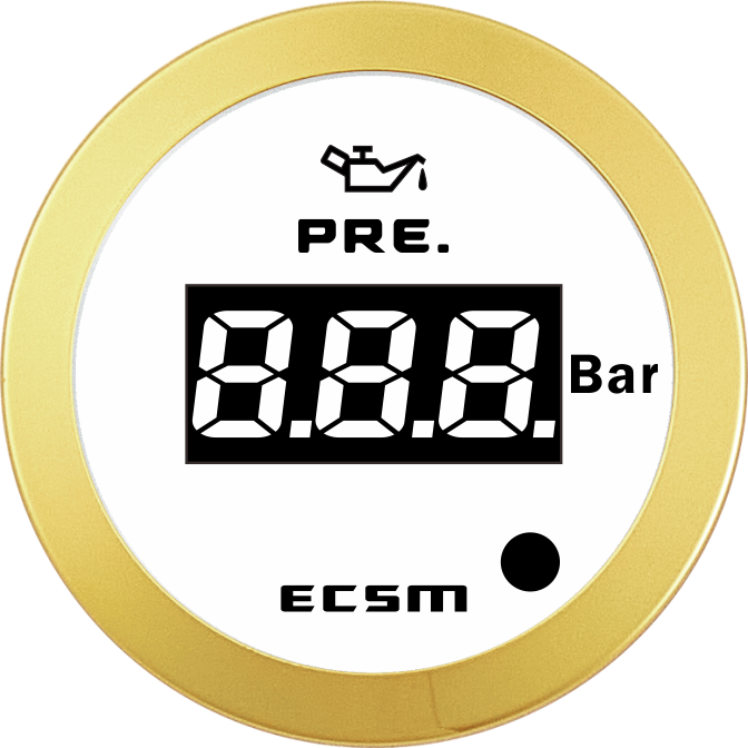 ECT-Digital pressure gauge(with low pressure alarm light)