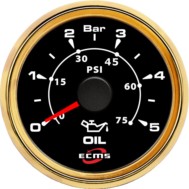 ECH-Pressure gauge 5Bar