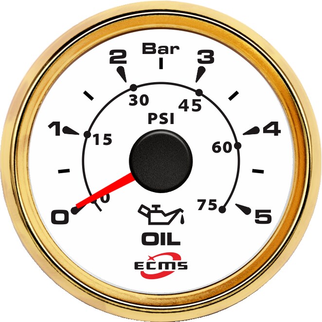 ECH-Pressure gauge 5Bar