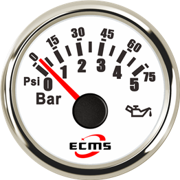 ECP/ECP2-5Bar壓力表