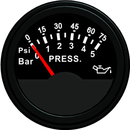 ECCS-Pressure gauge 5Bar